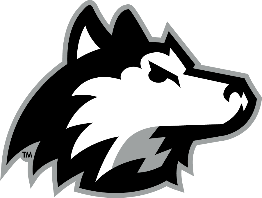 Northern Illinois Huskies 2001-Pres Secondary Logo diy DTF decal sticker